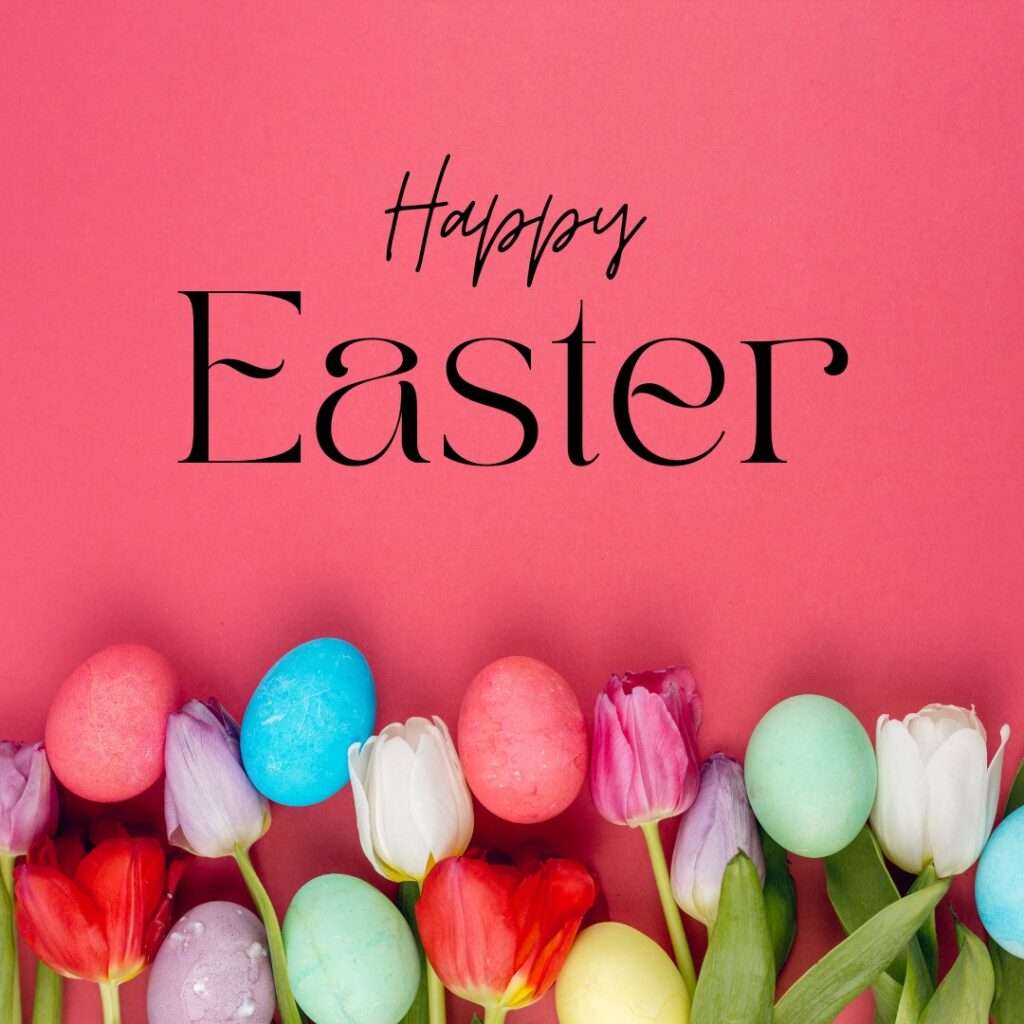Happy Easter Mr. BusinessBuilder website design and seo services