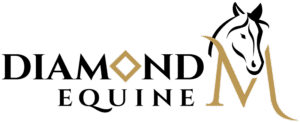 Logo design for Diamond M Equine, an equestrian services business in Helena, Montana.