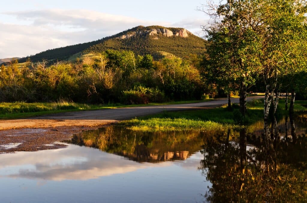 Spring Meadow with Mount Helena in the background — a scenic view near our hometown of Helena, Montana